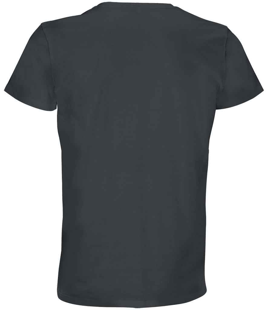 04233 Mouse Grey Back