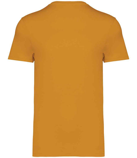 NS305 Curcuma Back