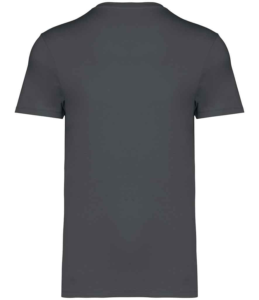 NS305 Iron Grey Back