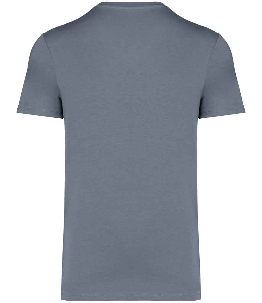 NS305 Mineral Grey Back