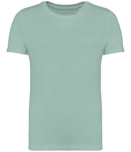 NS307 Jade Green Front