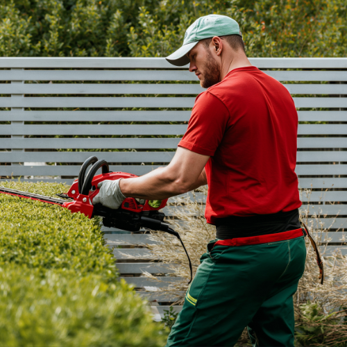 Man using a hedge trimmer to shape a bush in a garden, dressed in durable gardening and landscaping workwear.