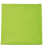 SOL'S Atoll 30 Microfibre Guest Towel | Apple Green