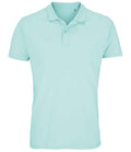 SOL'S Planet Organic Piqué Polo Shirt | Arctic Blue