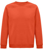 SOL'S Unisex Space Organic Raglan Sweatshirt | Burnt Orange