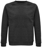 SOL'S Unisex Space Organic Raglan Sweatshirt | Charcoal Marl