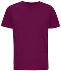 SOL'S Unisex Legend Organic T-Shirt | Astral Purple