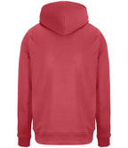 SOL'S Unisex Constellation Hoodie | Folk Pink