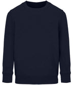 04239 French Navy Front