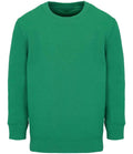 SOL'S Kids Columbia Sweatshirt | Kelly Green