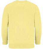 SOL'S Kids Columbia Sweatshirt | Light Yellow