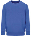 SOL'S Kids Columbia Sweatshirt | Royal Blue