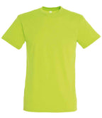 SOL'S Regent T-Shirt | Apple Green