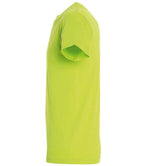 11380 Apple Green Left