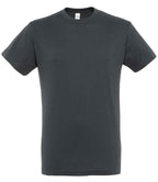 SOL'S Regent T-Shirt | Mouse Grey