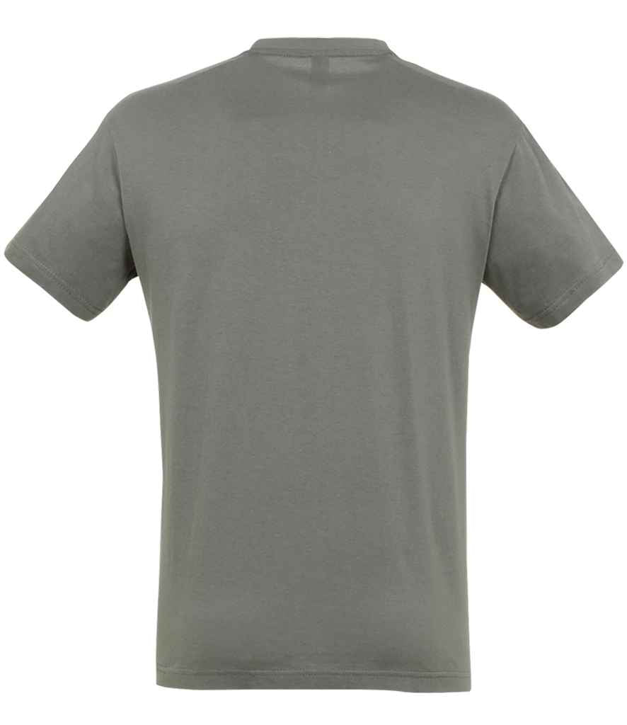 SOL'S Regent T-Shirt | Zinc