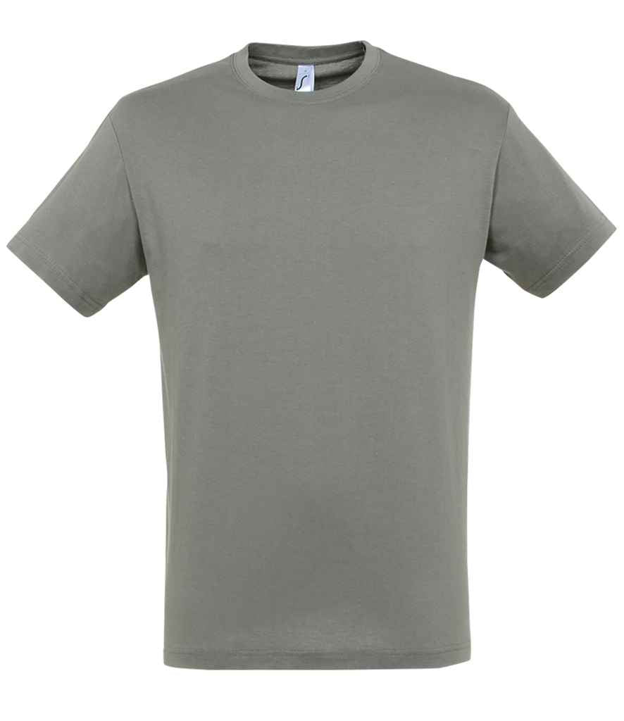 SOL'S Regent T-Shirt | Zinc