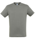 SOL'S Regent T-Shirt | Zinc