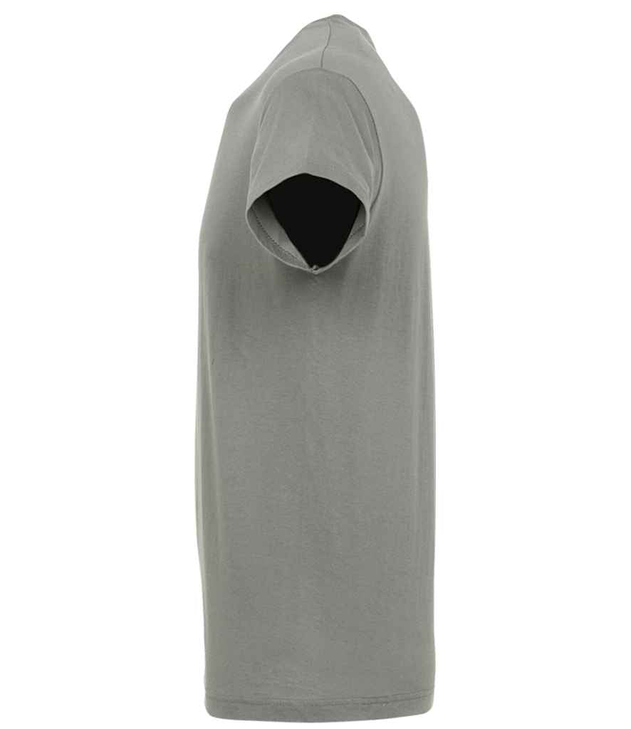 SOL'S Regent T-Shirt | Zinc