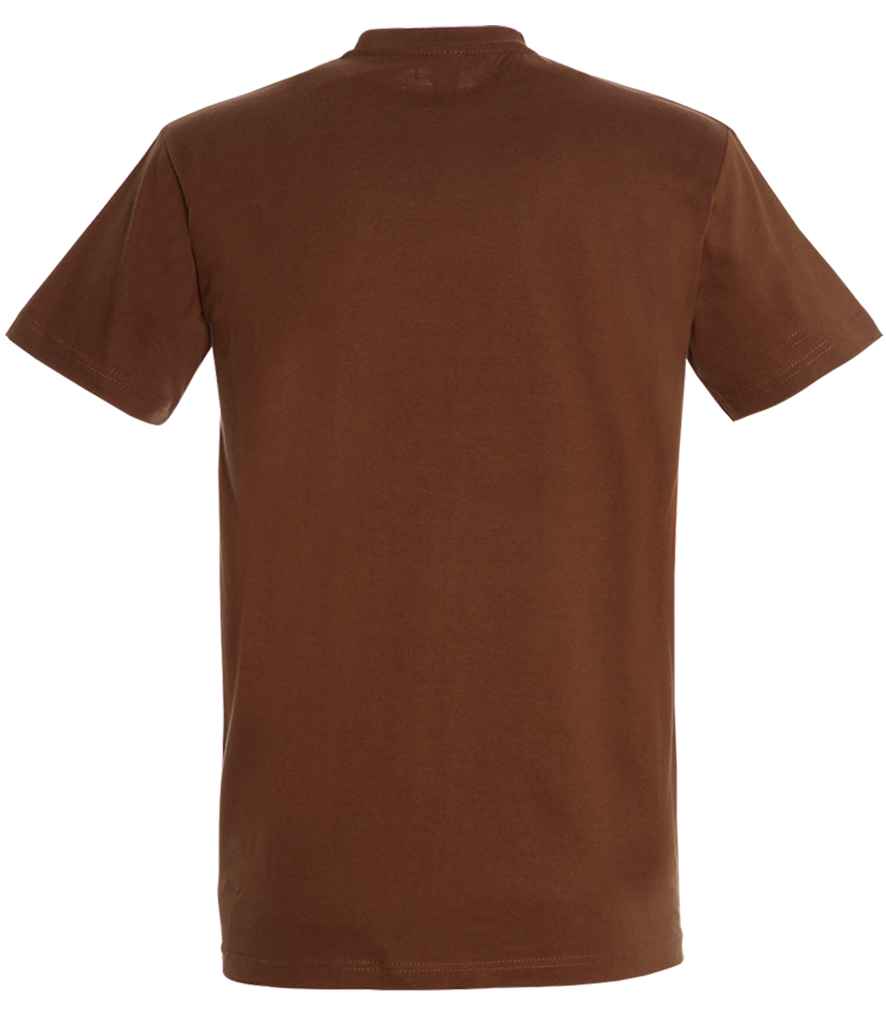 SOL'S Imperial Heavy T-Shirt | Earth