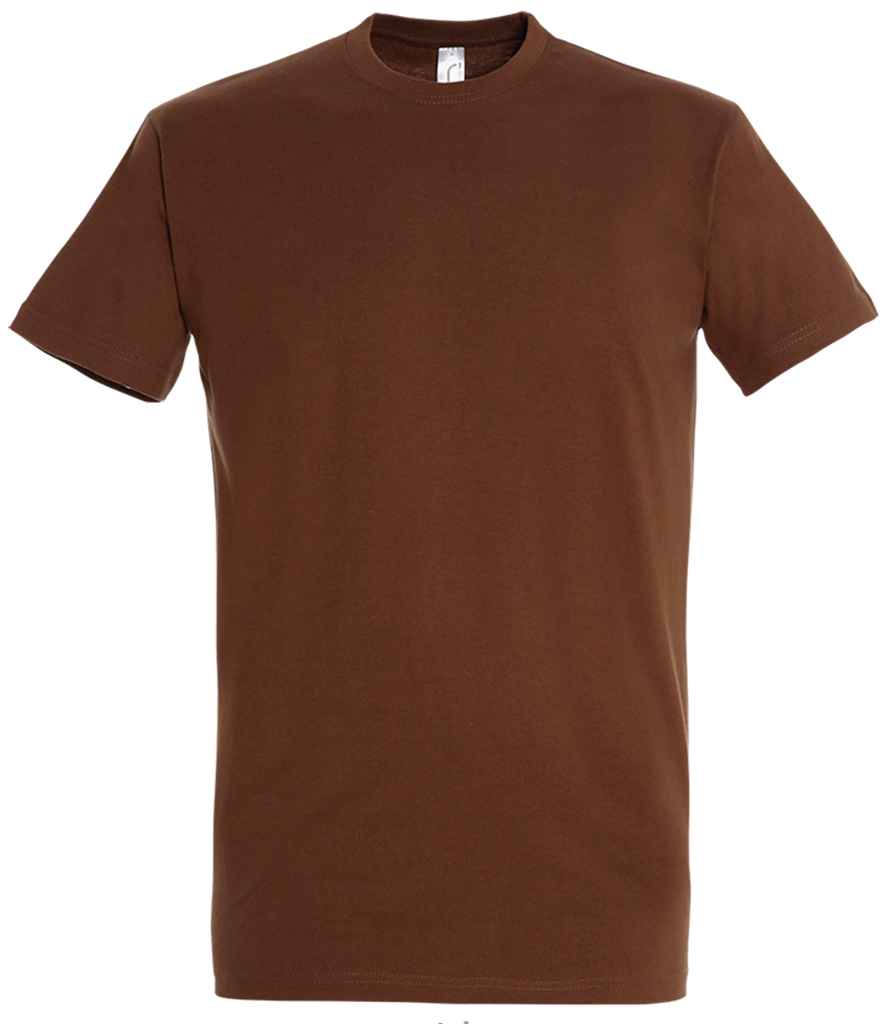 SOL'S Imperial Heavy T-Shirt | Earth