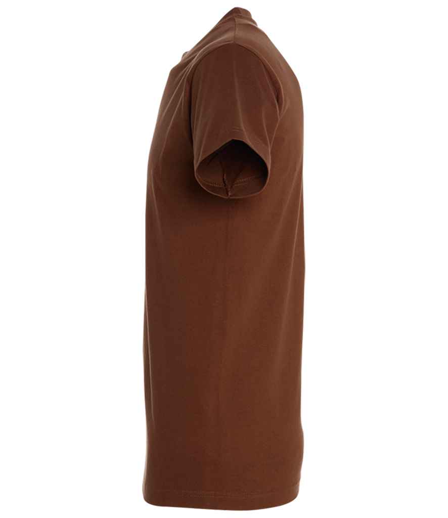 SOL'S Imperial Heavy T-Shirt | Earth