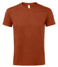 SOL'S Imperial Heavy T-Shirt | Terracotta