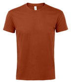 SOL'S Imperial Heavy T-Shirt | Terracotta
