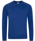 AWDis Academy Senior Raglan Sweatshirt | Deep Royal