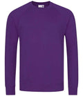 AWDis Academy Senior Raglan Sweatshirt | Purple