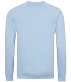 AWDis Academy Senior Raglan Sweatshirt | Sky Blue