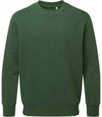 Anthem Organic Sweatshirt
