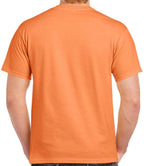 GD02 Tangerine Back