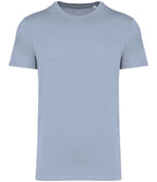 Native Spirit Unisex Heavyweight T-Shirt
