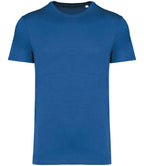 Native Spirit Unisex Heavyweight T-Shirt
