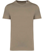 Native Spirit Unisex Heavyweight T-Shirt
