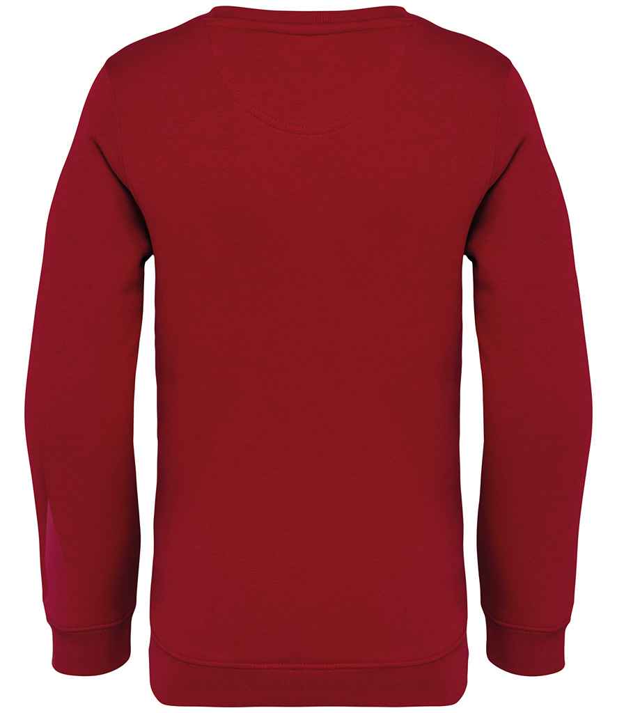 NS403 Hibiscus Red Back