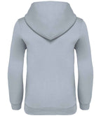 NS404 Aquamarine Back