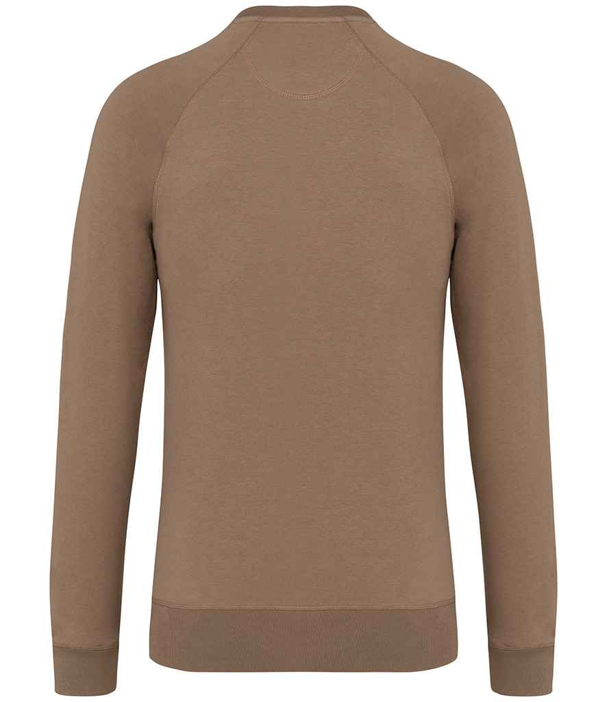 NS423 Driftwood Back