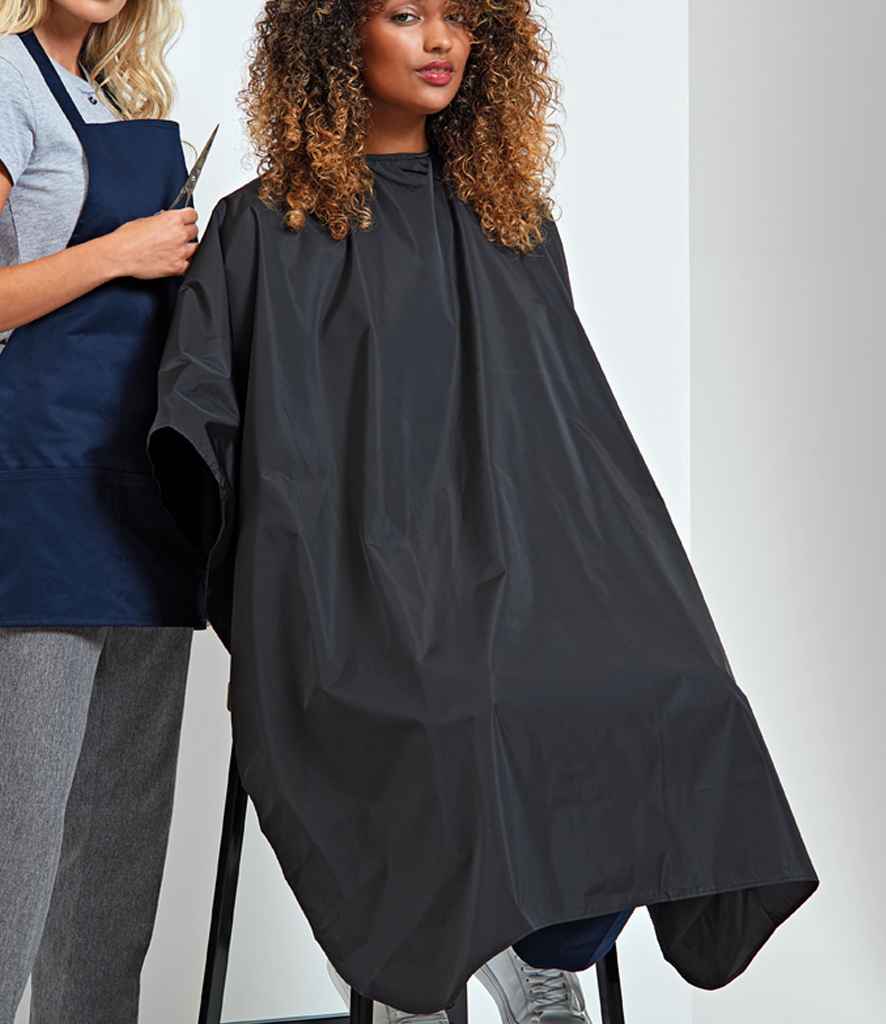 PR116 Black Model
