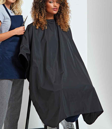 PR116 Black Model