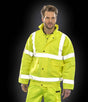 RS217 Fluorescent Yellow Model