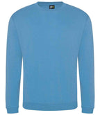 Pro RTX Pro Sweatshirt