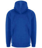 RX350 Royal Blue Back