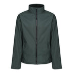 Regatta Ablaze Printable