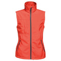 Regatta Octagon 3Lyer B/W
