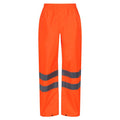 Regatta HiVsPro Pckwy Trs